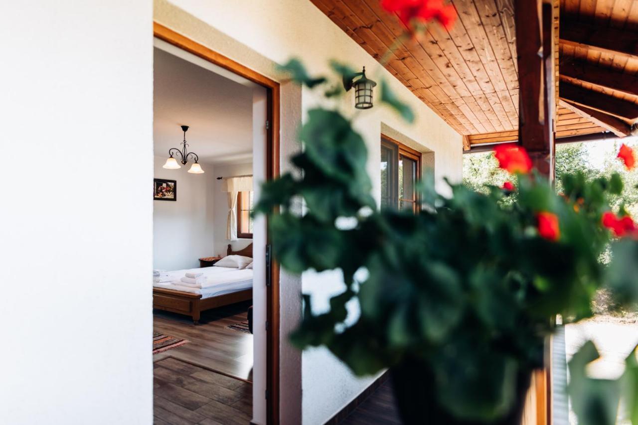 Biscontini's Appartement
